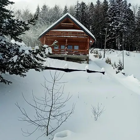 Domek U Johnnego Piwniczna-Zdroj Exterior foto