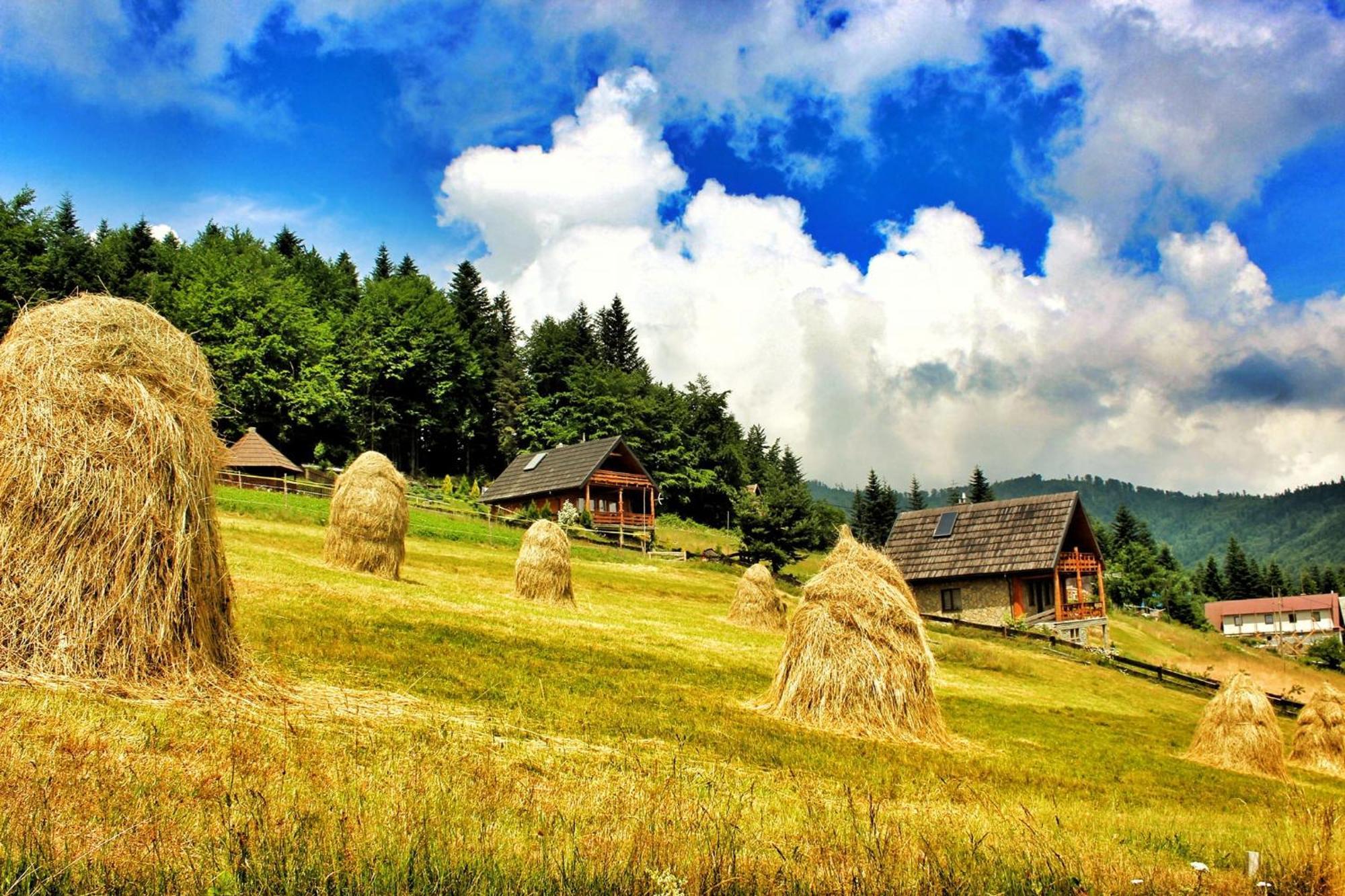 U Johnnego Chalet Piwniczna-Zdroj